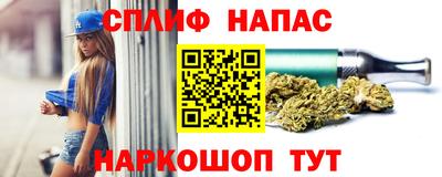каннабис Славгород