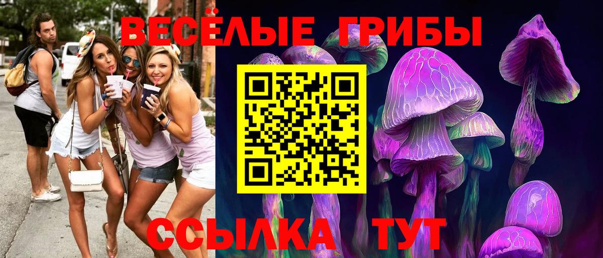 Галлюциногенные грибы мицелий Нововоронеж