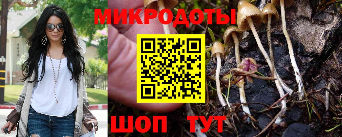 Псилоцибиновые грибы Psilocybe  Псилоцибиновые грибы Cubensis  Вход с VPN  Нововоронеж 